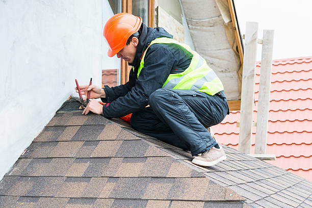 Best Roof Gutter Cleaning  in Arcade, GA